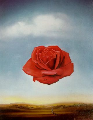 Rose_meditative_salvador_dali