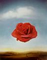 Rose_meditative_salvador_dali