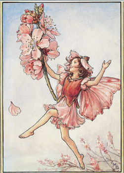 Cicely mary barker