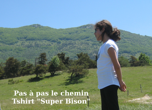 Pas à pas le chemin tshirt super bison 3-42